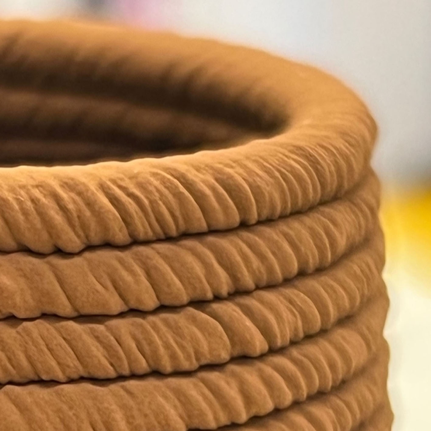 Cover image of Wood Without Trees